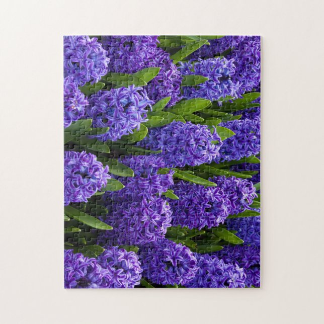 Puzzle Hermosas jacintos azules/púrpura (Vertical)