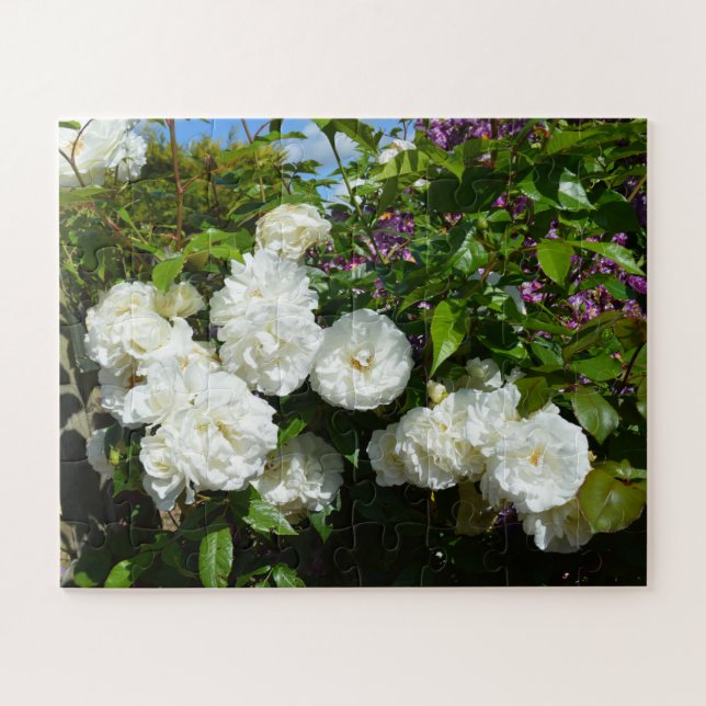 Puzzle Hermosas rosas blancas (Horizontal)