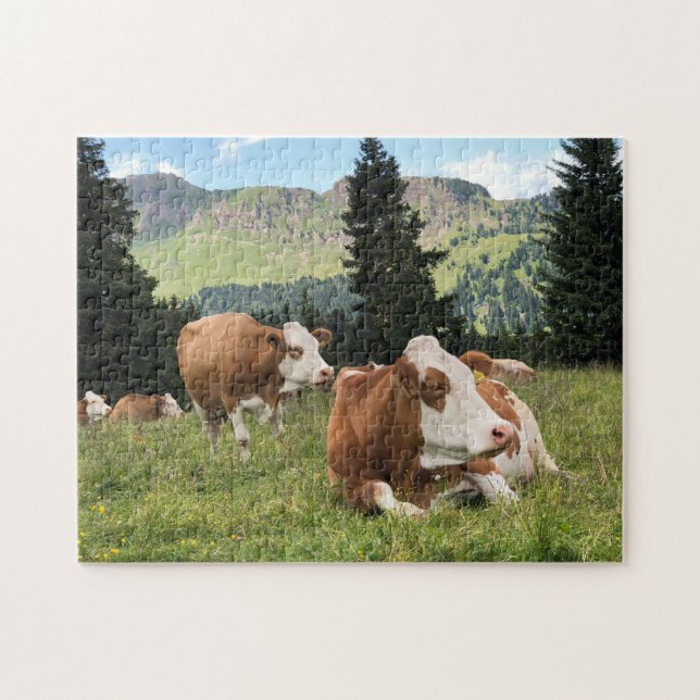 Puzzle Hermosas vacas en la foto de la naturaleza pastura (Horizontal)