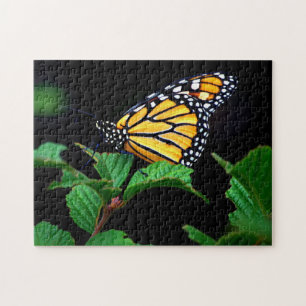 Puzzle Hermoso acercamiento a la mariposa monarca