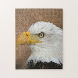 Puzzle Hermoso águila calva