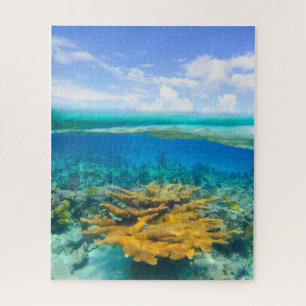 Puzzle Hermoso arrecife de coral encima y debajo del romp
