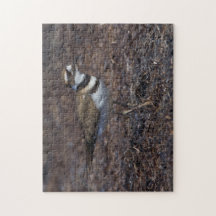 Hermoso asesino en la playa