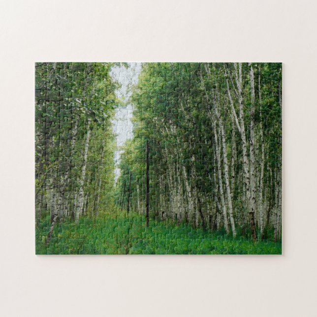 Puzzle Hermoso bosque Birch Tree (Horizontal)