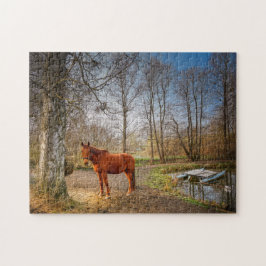 Puzzle Hermoso caballo