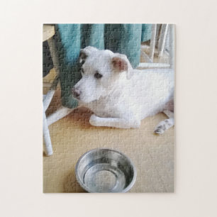 Puzzle Hermoso Cachorro Blanco Cerca De La Mesa De La Coc