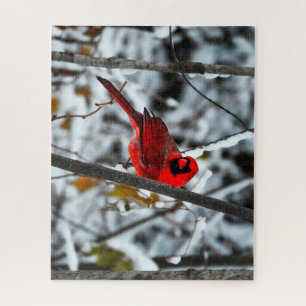 Puzzle Hermoso cardenal rojo brillante en la nieve