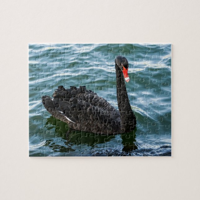 Puzzle Hermoso cisne negro (Horizontal)