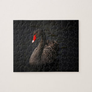 Puzzle Hermoso cisne negro con un brillante pico rojo