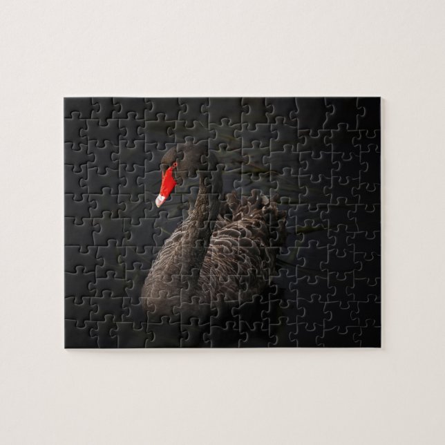 Puzzle Hermoso cisne negro con un brillante pico rojo (Horizontal)