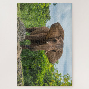 Puzzle Hermoso elefante jugando en la hierba