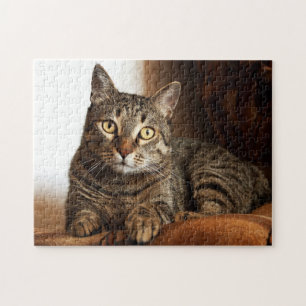 Puzzle Hermoso gato de Tabby