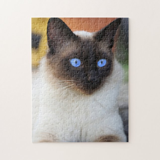 Puzzle Hermoso gato siamés gatito (Vertical)