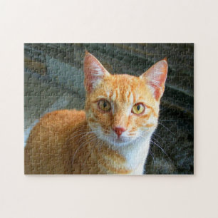Puzzle Hermoso Ginger Cat
