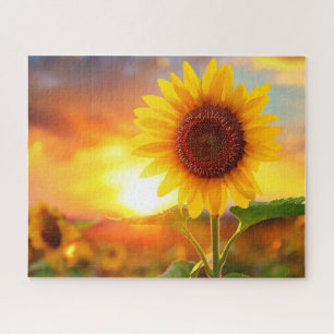 Puzzle hermoso girasol al atardecer