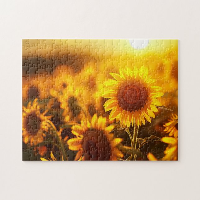 Puzzle hermoso girasol de flores de planta al atardecer (Horizontal)