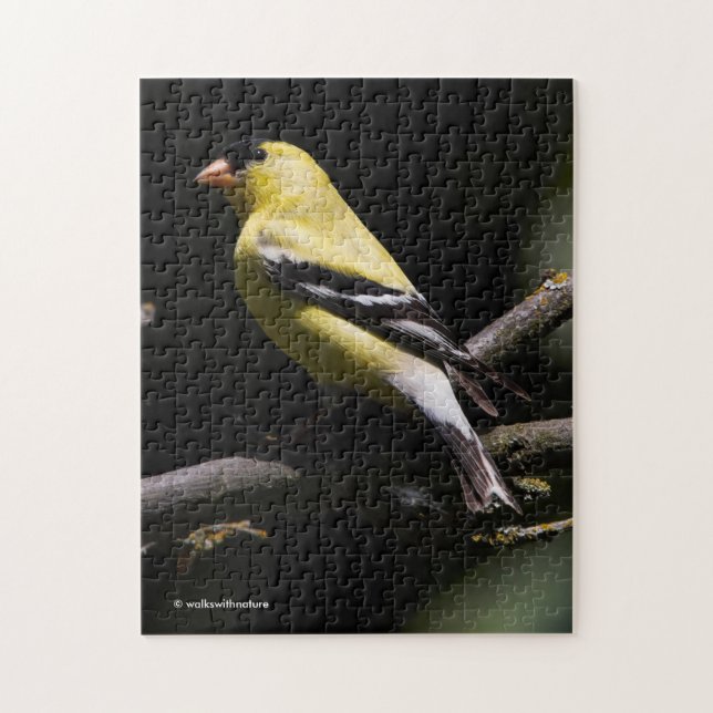 Puzzle Hermoso Goldfinch americano (Vertical)
