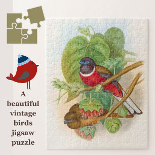 Puzzle Hermoso Ilustracion Vintage colorido