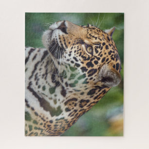 Puzzle Hermoso Jaguar en el salvaje