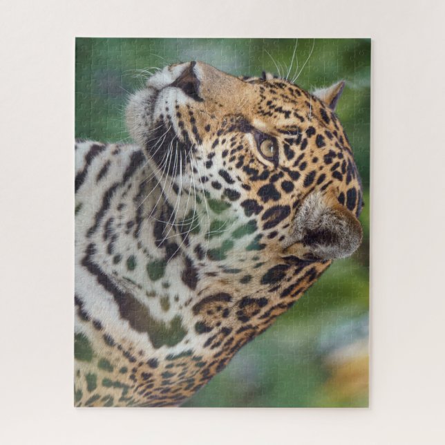 Puzzle Hermoso Jaguar en el salvaje (Vertical)