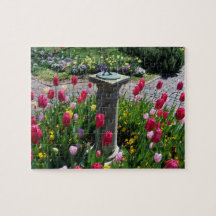 Hermoso jardín de flores