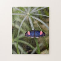 Hermoso jardín de la naturaleza de la mariposa azu