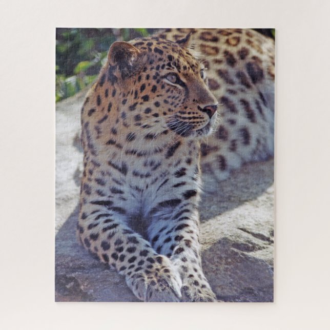 Puzzle Hermoso leopardo - (Vertical)