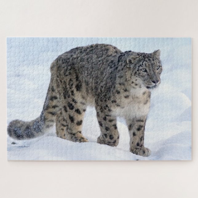 Puzzle Hermoso leopardo de las nieves (Horizontal)