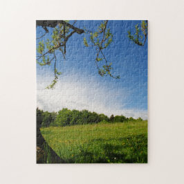 Puzzle Hermoso paisaje veraniego florido prado alpino