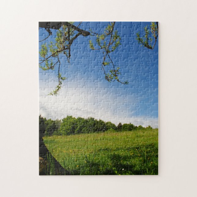 Puzzle Hermoso paisaje veraniego florido prado alpino (Vertical)