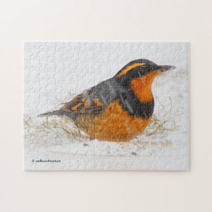 Puzzle Hermoso pájaro aguafiestas variados en la nieve