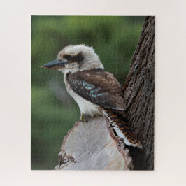 Puzzle Hermoso pájaro Kookaburra Australia, 520 piezas