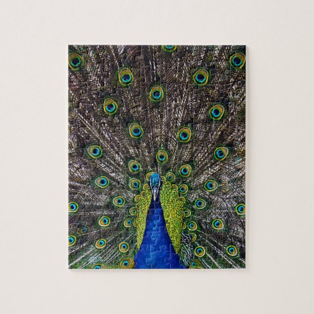 Puzzle Hermoso pájaro pavo real (Vertical)