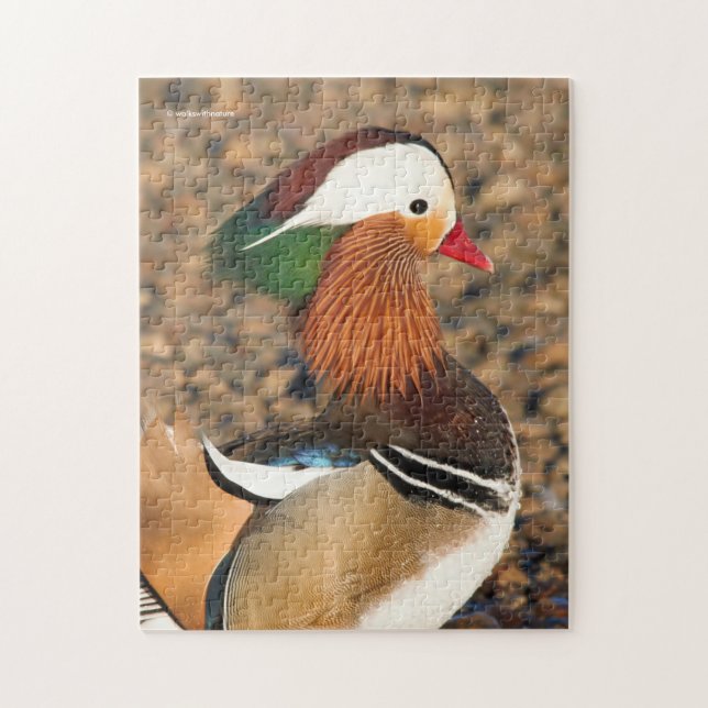 Puzzle Hermoso pato mandarín sobre las rocas (Vertical)