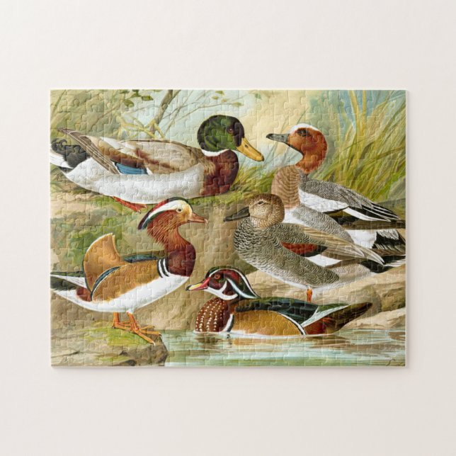 Puzzle Hermoso pato vintage (Horizontal)