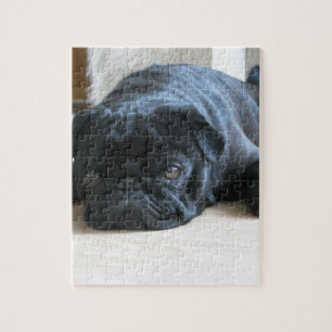 Puzzle Hermoso Pug Negro Durmiendo
