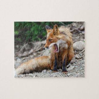 Puzzle Hermoso zorro rojo con boca abierta ancha