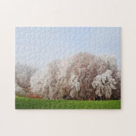 Puzzle Hermosos Árboles del otoño en Austria Paisaje