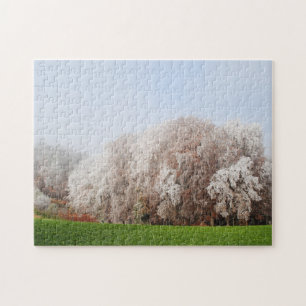Puzzle Hermosos Árboles del otoño en Austria Paisaje