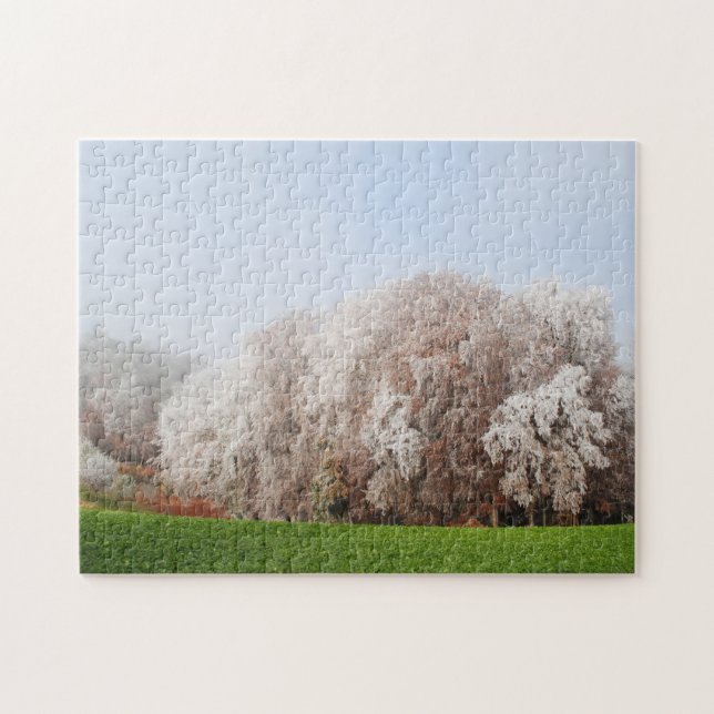 Puzzle Hermosos Árboles del otoño en Austria Paisaje (Horizontal)