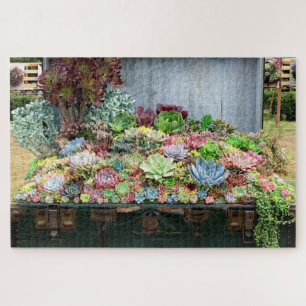 Puzzle Hermosos éxitos en el tesoro del pecho