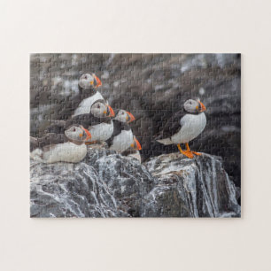 Puzzle Hermosos pájaros de mariscos salvajes