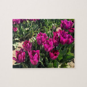 Puzzle Hermosos Tulips