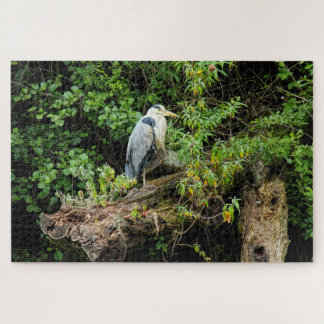 Puzzle Heron. Lago Roath Park, Cardiff, Gales