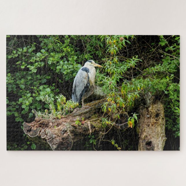 Puzzle Heron. Lago Roath Park, Cardiff, Gales (Horizontal)