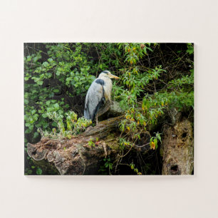 Puzzle Heron. Lago Roath Park, Cardiff, Gales