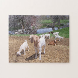 Puzzle Hey Goat Kids