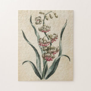 Puzzle Hiacinato Vintage Froral