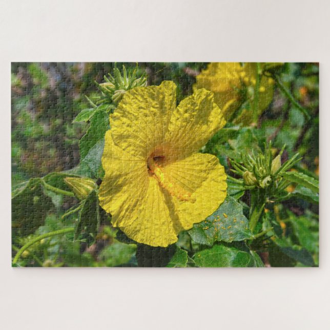 Puzzle Hibisco Amarillo Flor del Estado de Hawái (Horizontal)