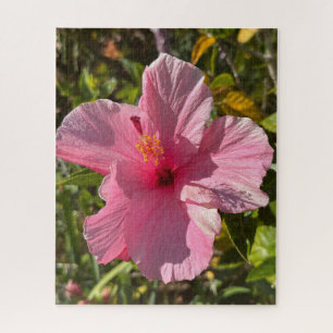 Puzzle Hibisco Tropical Rosa, Oakland